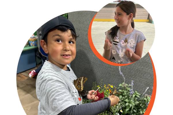 Flutterby Ranch Foundation